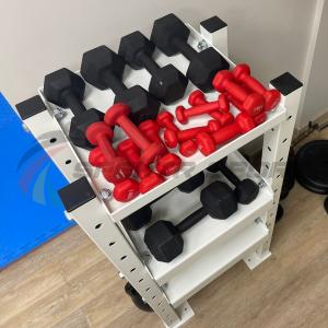 Купить Модульный стеллаж для гантелей, гирь  600х470х1160 в Невельске 